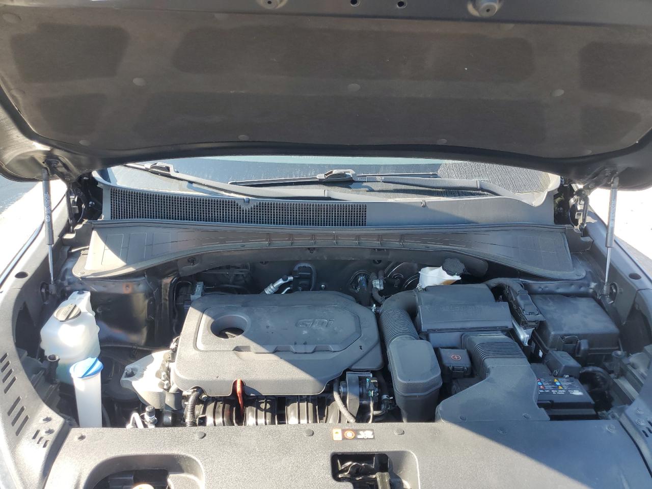 2020 Kia Sorento L VIN: 5XYPG4A39LG651104 Lot: 80025665