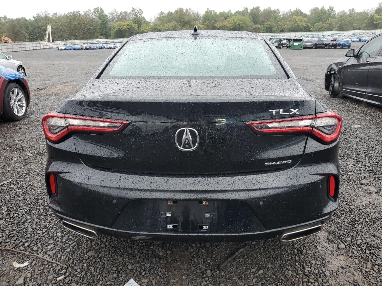 2023 Acura Tlx VIN: 19UUB6F35MA005602 Lot: 80786415