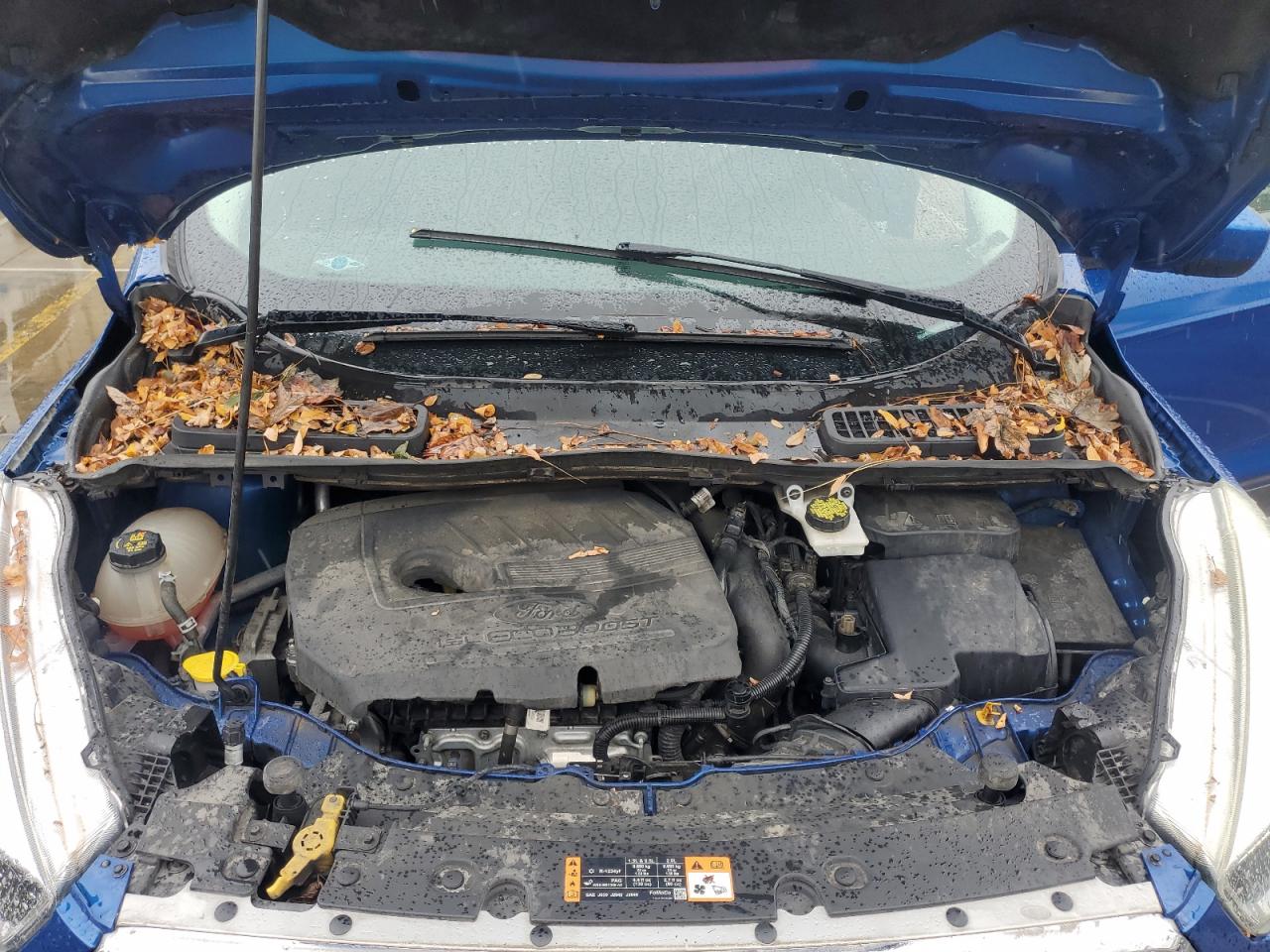 2017 Ford Escape Se VIN: 1FMCU0GD7HUB59639 Lot: 81766735