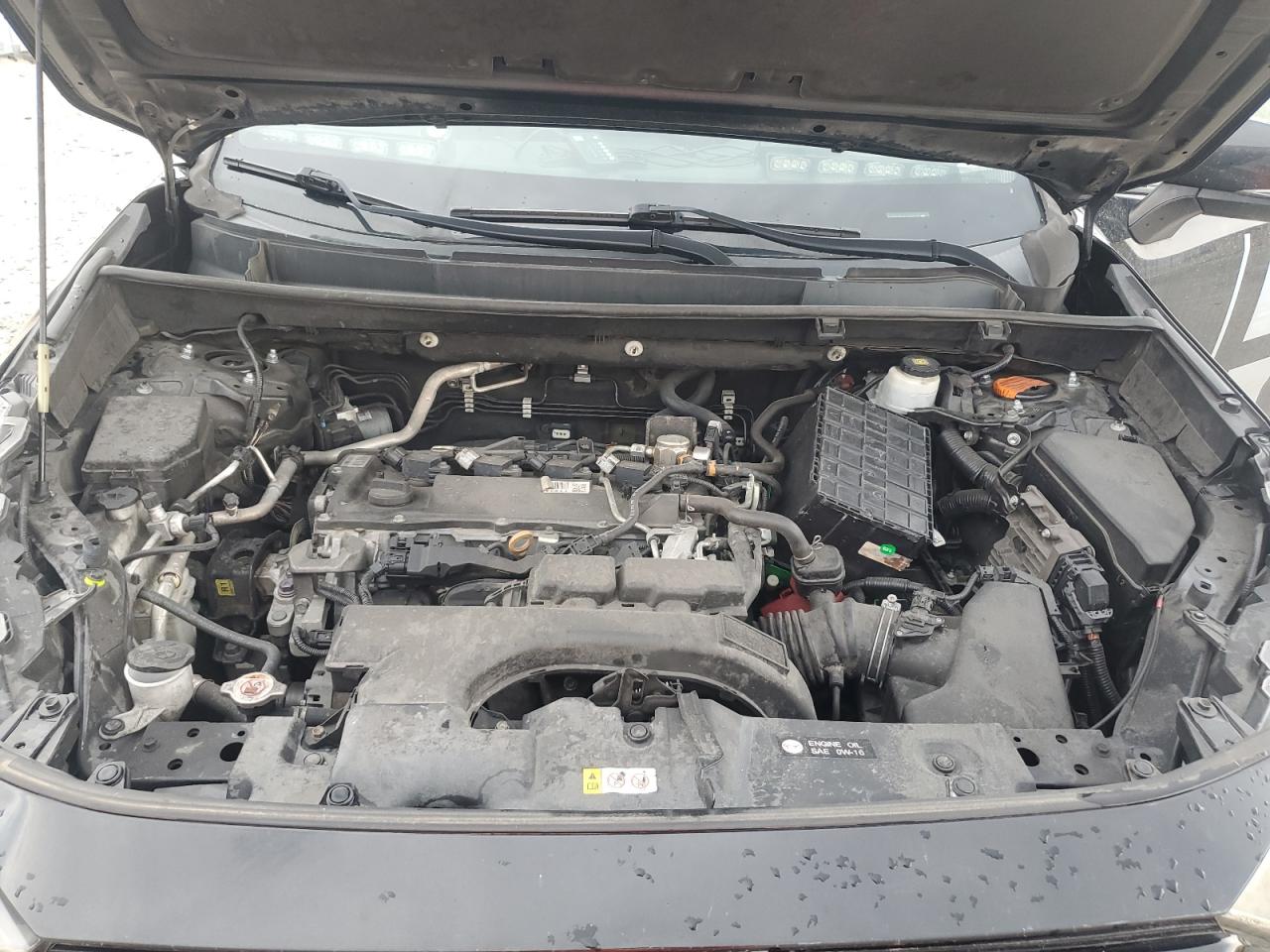 2020 Toyota Rav4 Xle VIN: 2T3W1RFV3LC035003 Lot: 81191865