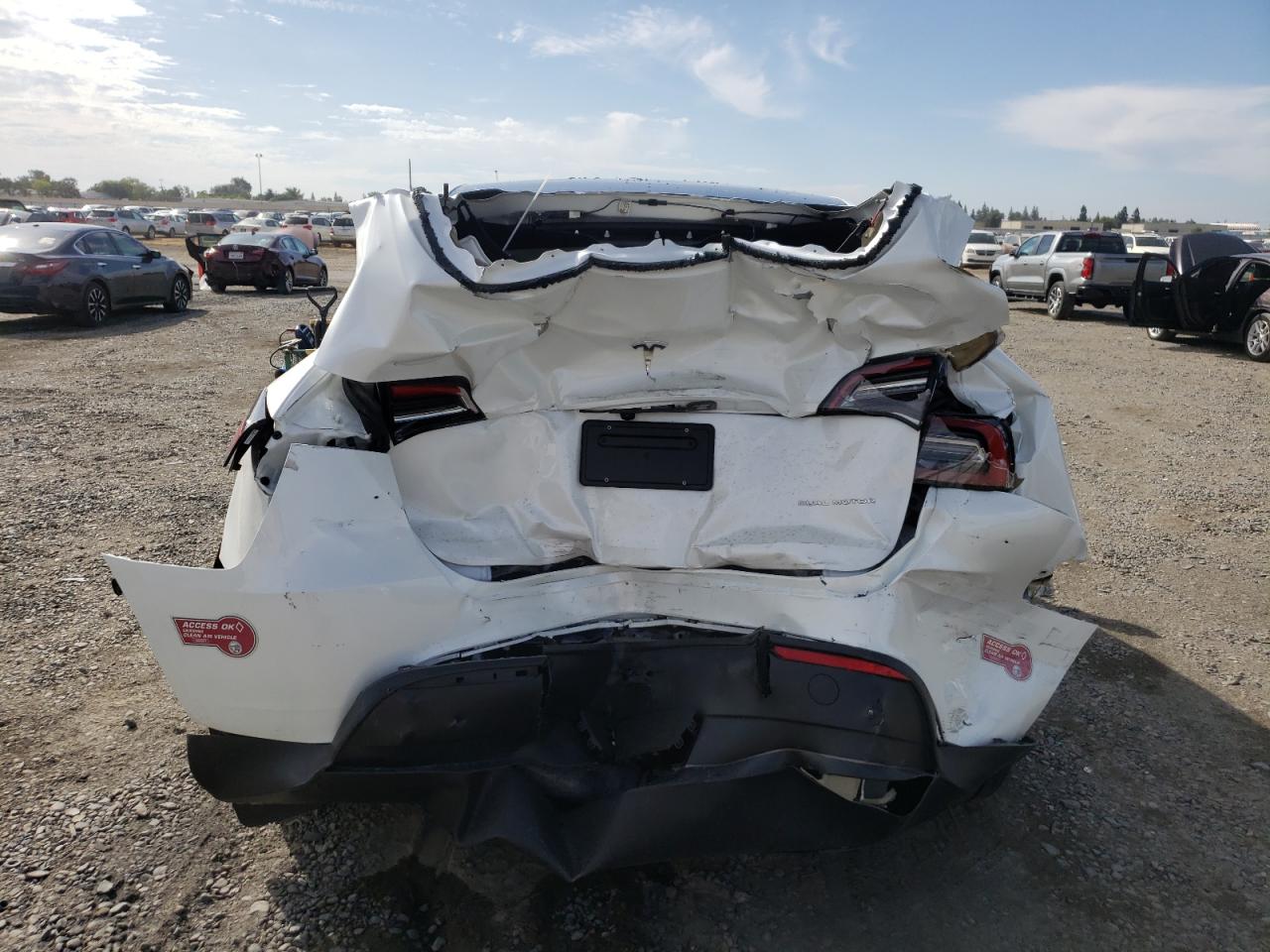 2024 Tesla Model Y VIN: 7SAYGDEE0RF129349 Lot: 81783765