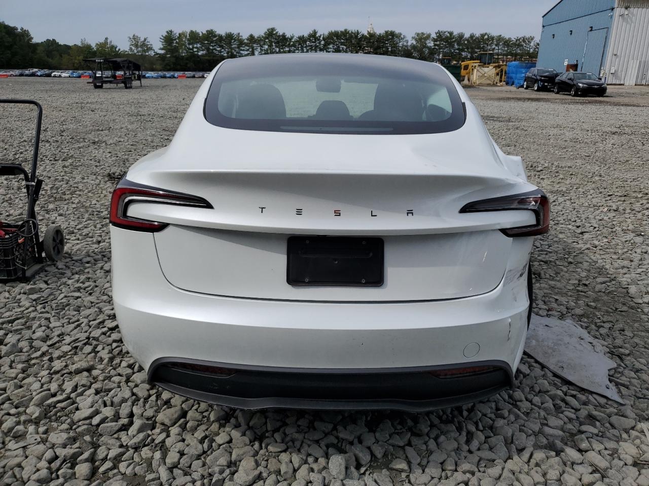 2025 Tesla Model 3 VIN: 5YJ3E1EAXSF030780 Lot: 84599335