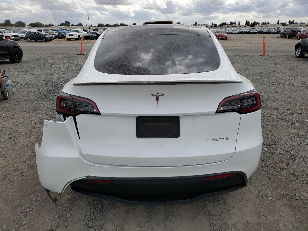 2023 Tesla Model Y VIN: 7SAYGDEF4PF662360 Lot: 81855055