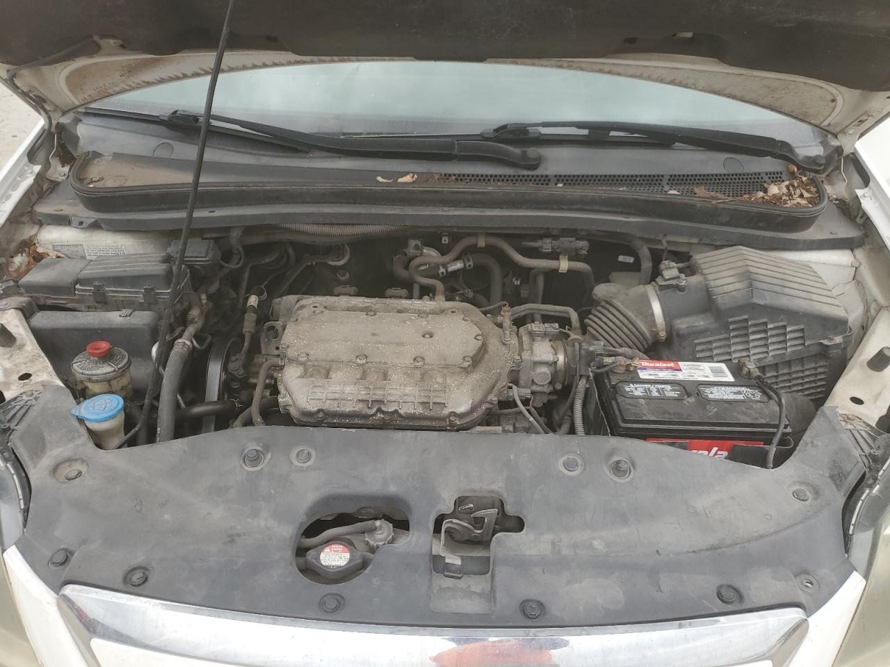 2007 Honda Odyssey Ex VIN: 5FNRL38437B141275 Lot: 71601345