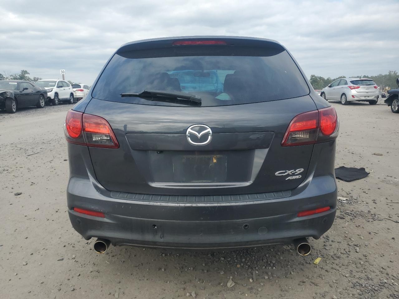 2013 Mazda Cx-9 Touring VIN: JM3TB3CV8D0421008 Lot: 81375315