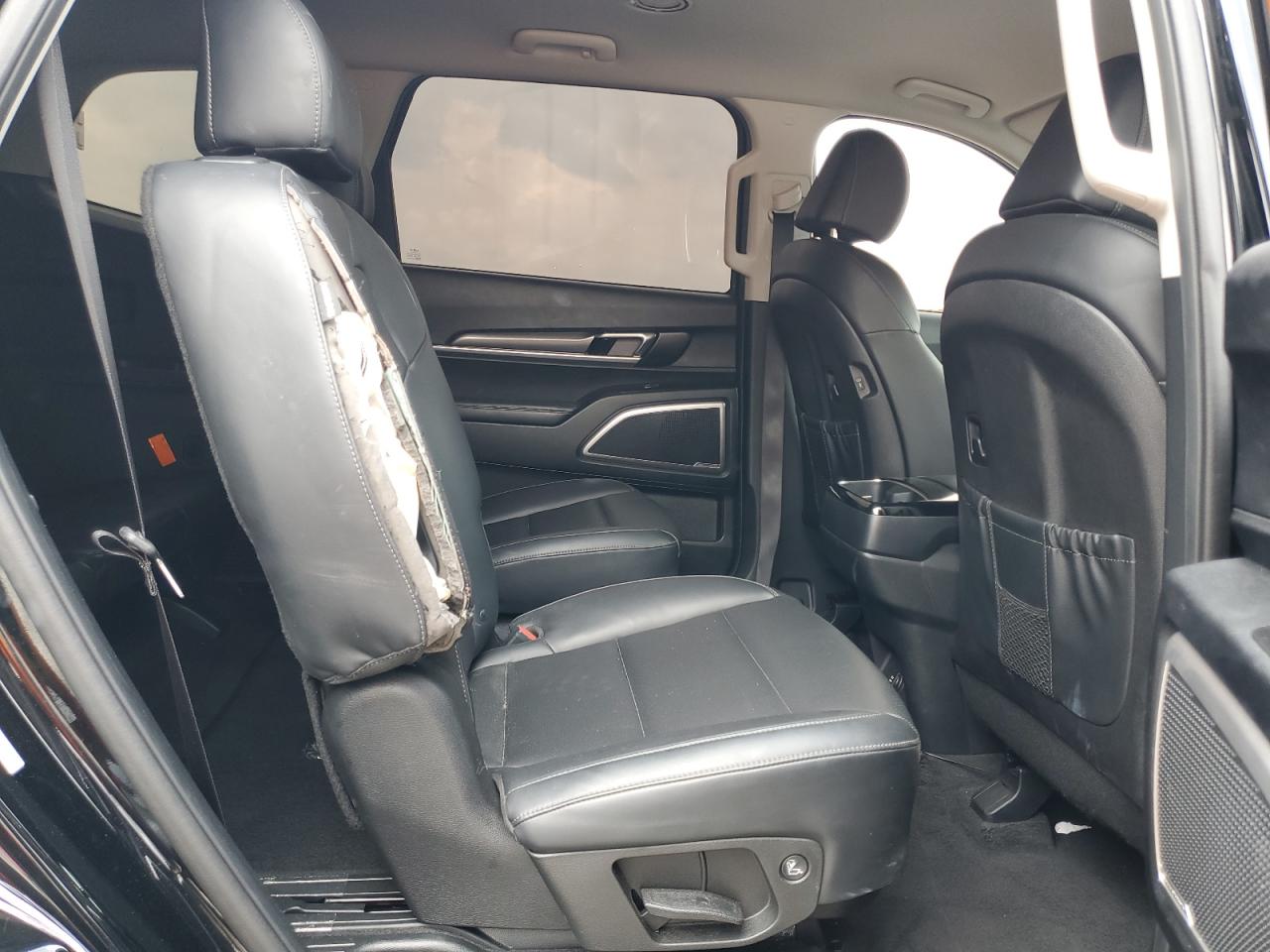2024 Kia Telluride S VIN: 5XYP64GC3RG454805 Lot: 71952845