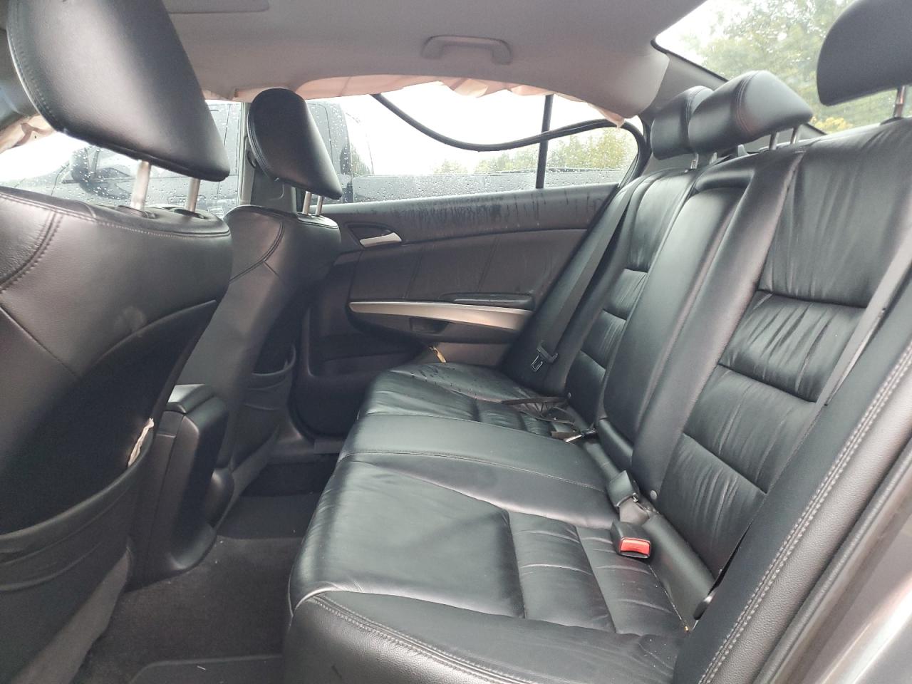 2010 Honda Accord Exl VIN: 1HGCP2F84AA807748 Lot: 84017125