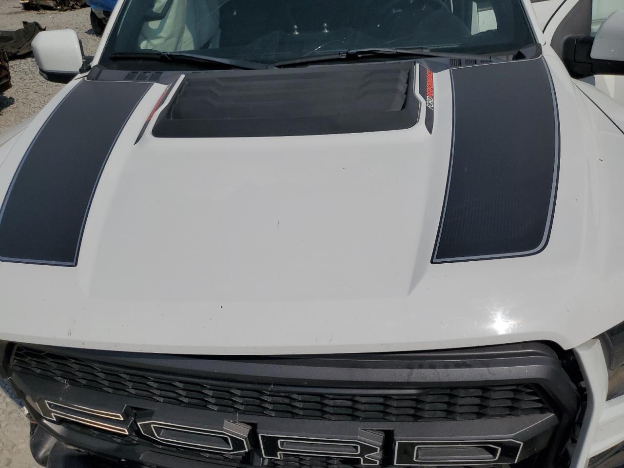 2019 Ford F150 Raptor VIN: 1FTFW1RG8KFC29346 Lot: 80527095