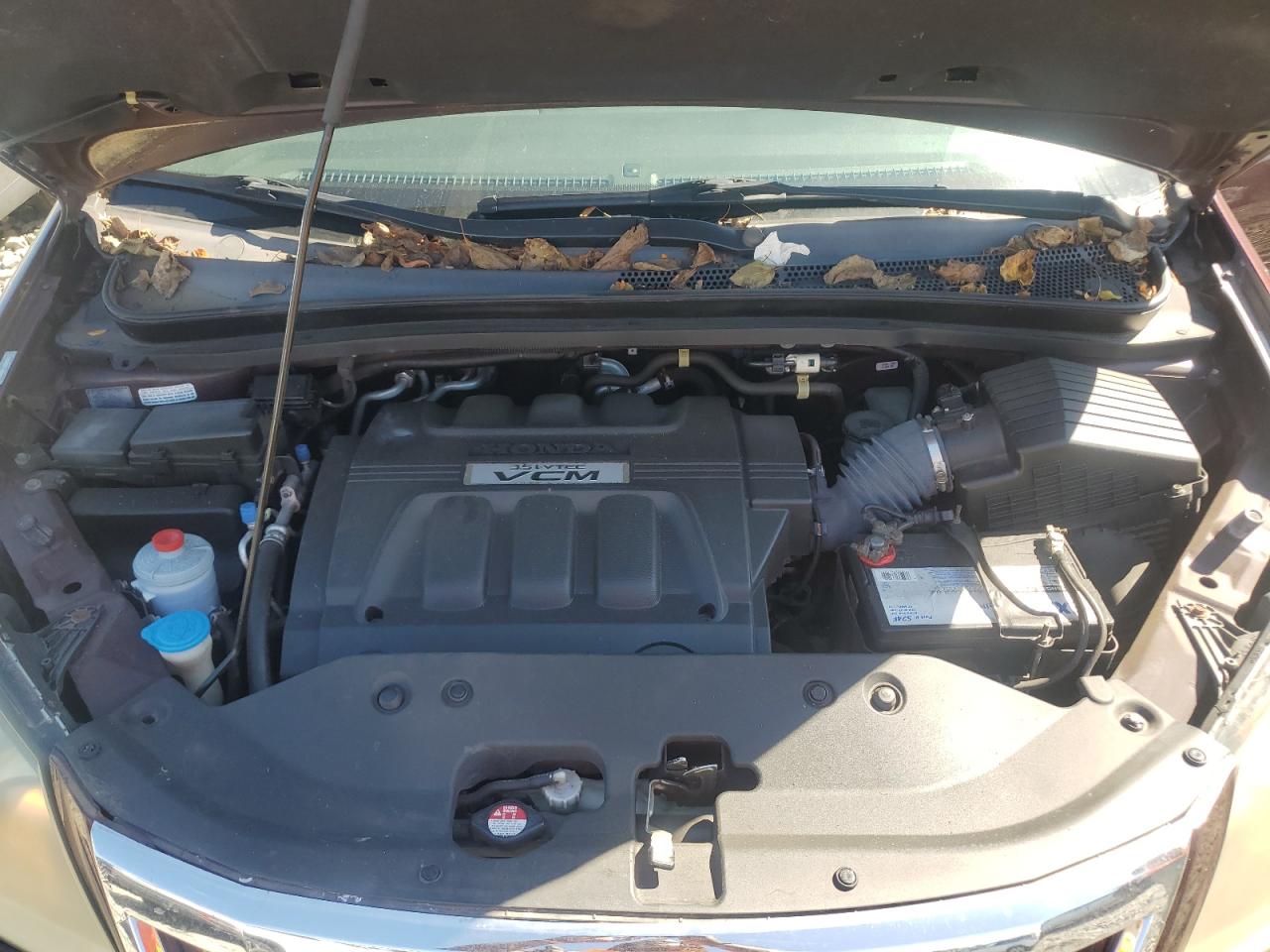 2010 Honda Odyssey Exl VIN: 5FNRL3H6XAB070083 Lot: 81249745