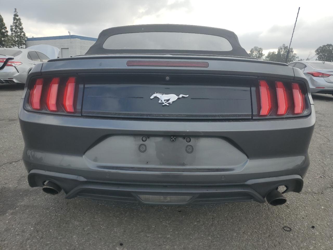 2019 Ford Mustang VIN: 1FATP8UH4K5135727 Lot: 80029985