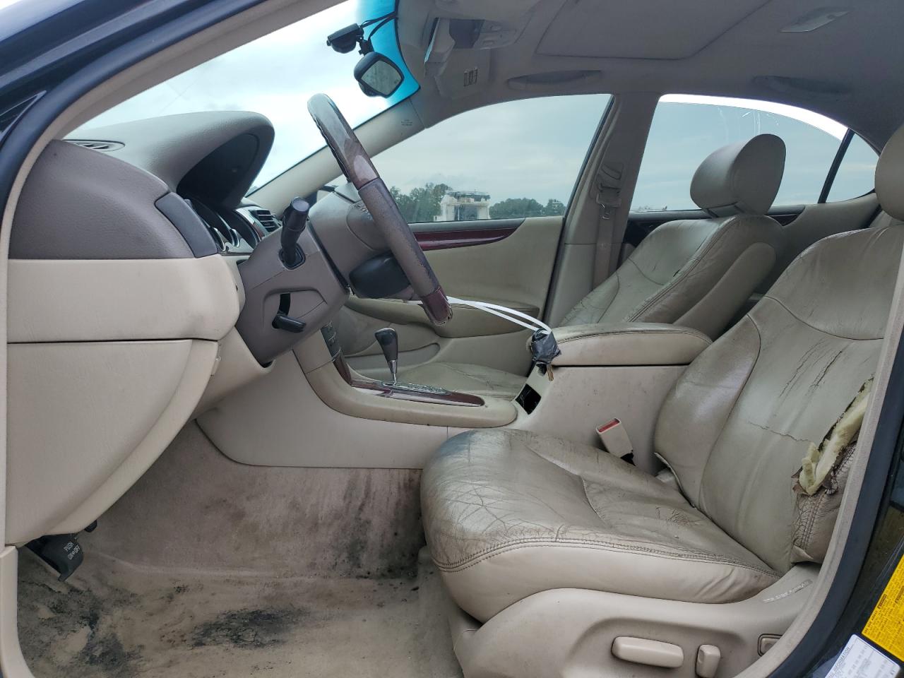 2002 Lexus Es 300 VIN: JTHBF30G025028374 Lot: 81945225