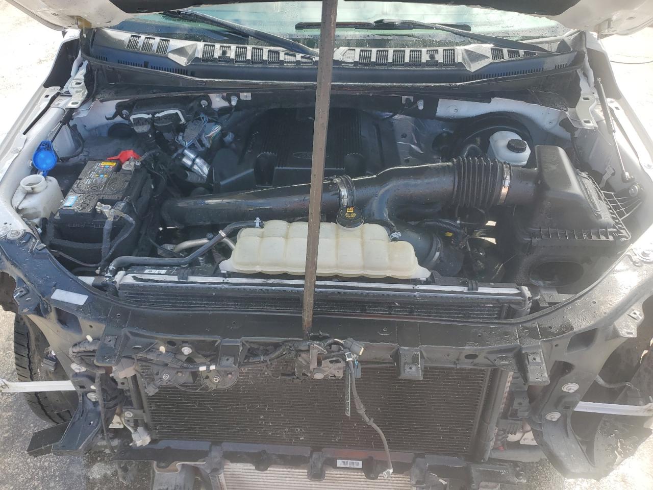 2019 Ford F150 Supercrew VIN: 1FTEW1C41KKE30202 Lot: 69133835