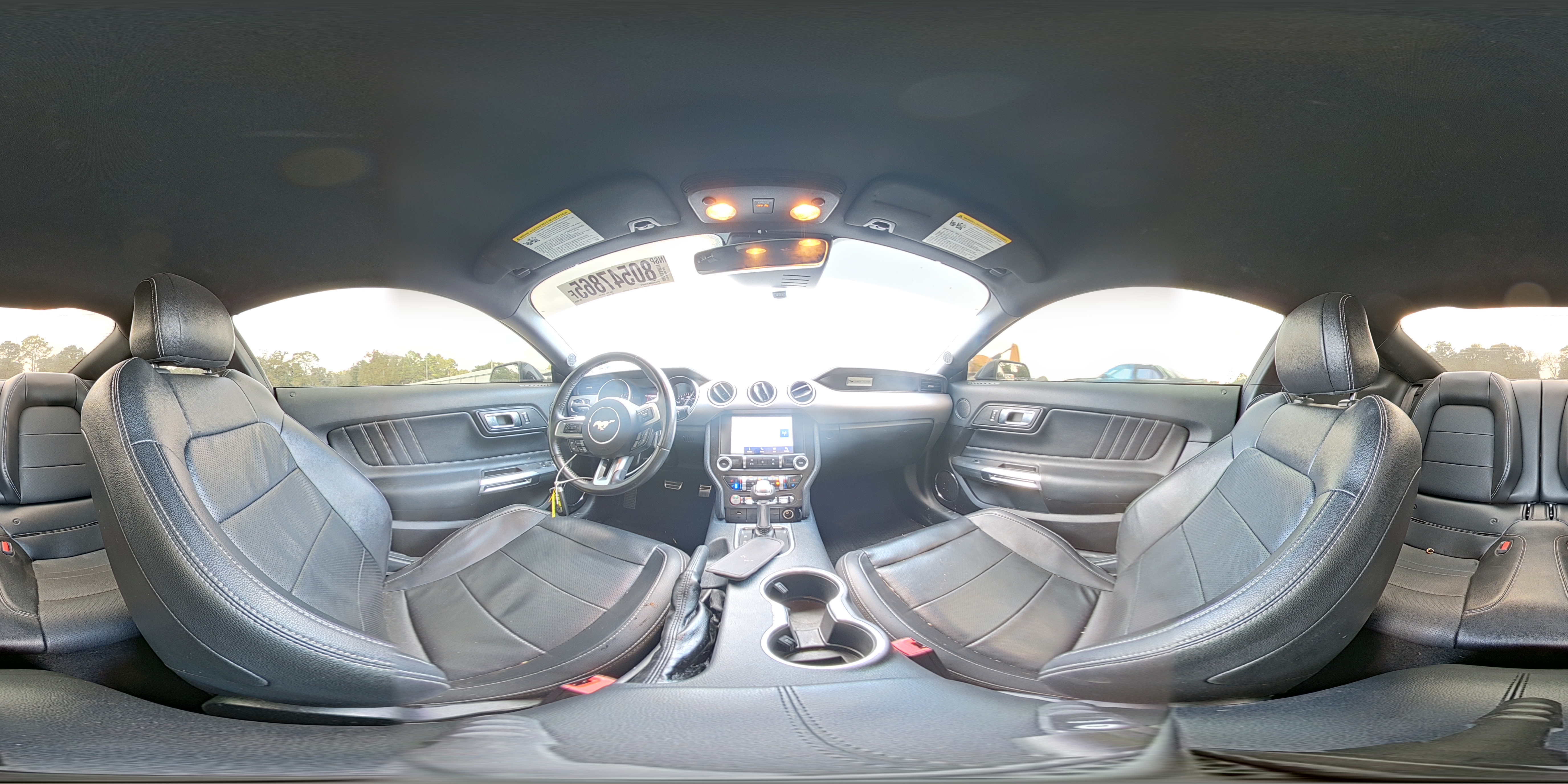 2021 Ford Mustang VIN: 1FA6P8TH6M5134399 Lot: 80547865