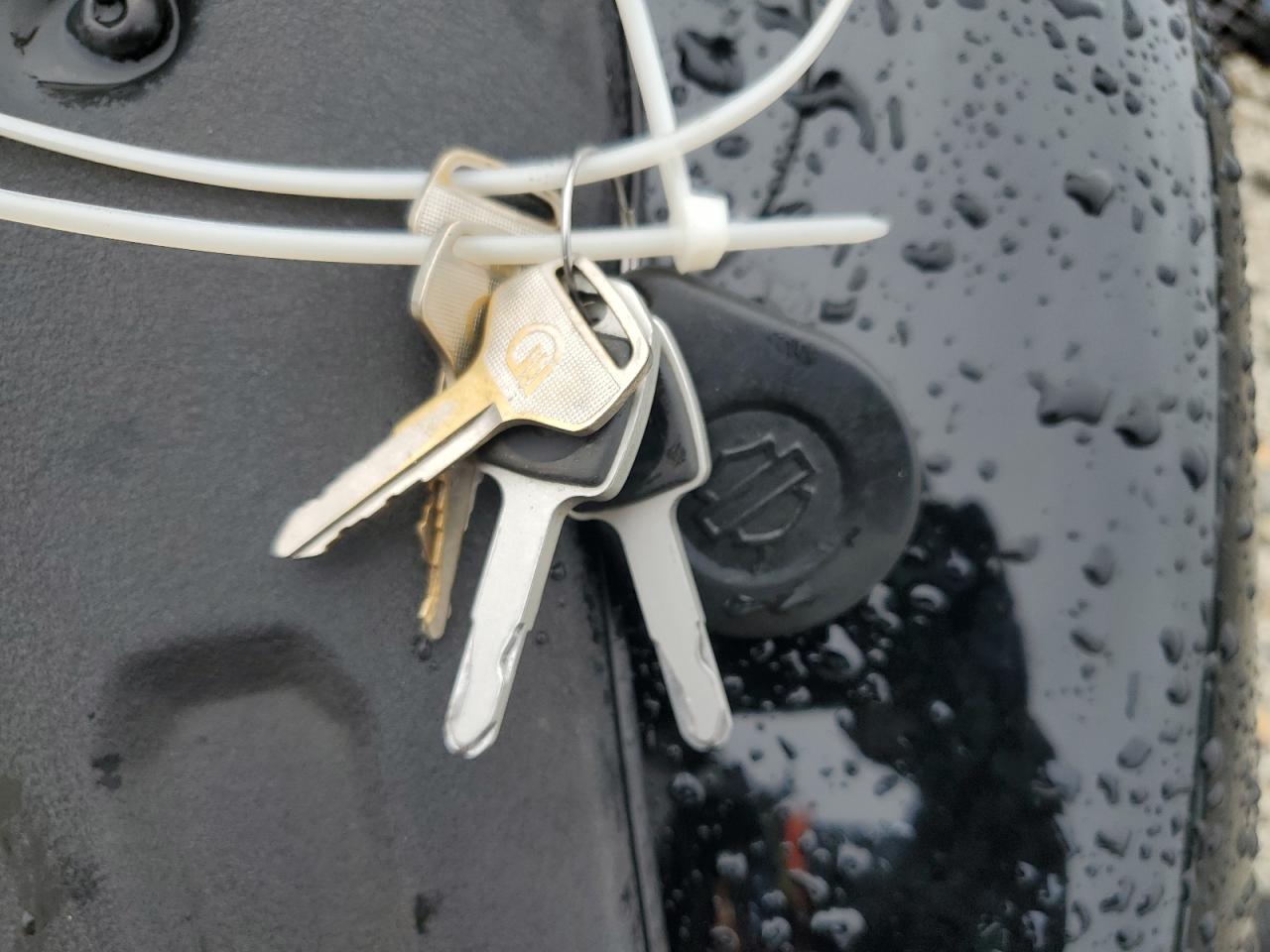 2023 Harley-Davidson Fxlrs VIN: 1HD1YWZ19PB054065 Lot: 82030165