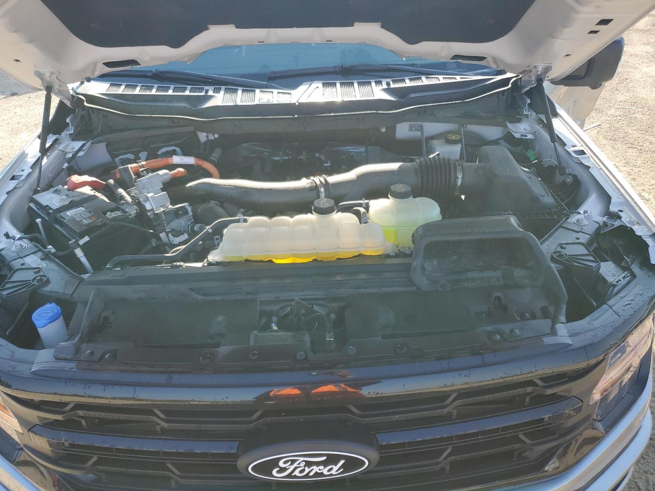 2024 Ford F150 Xlt VIN: 1FTFW3LD5RFA15189 Lot: 80206595