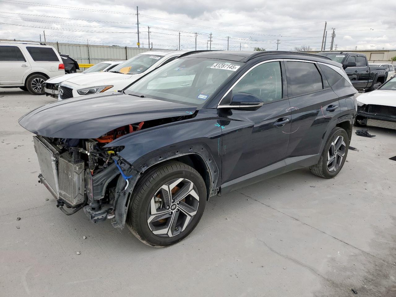 2023 Hyundai Tucson Limited blue null hybrid KM8JECA1XPU096085 photo #1