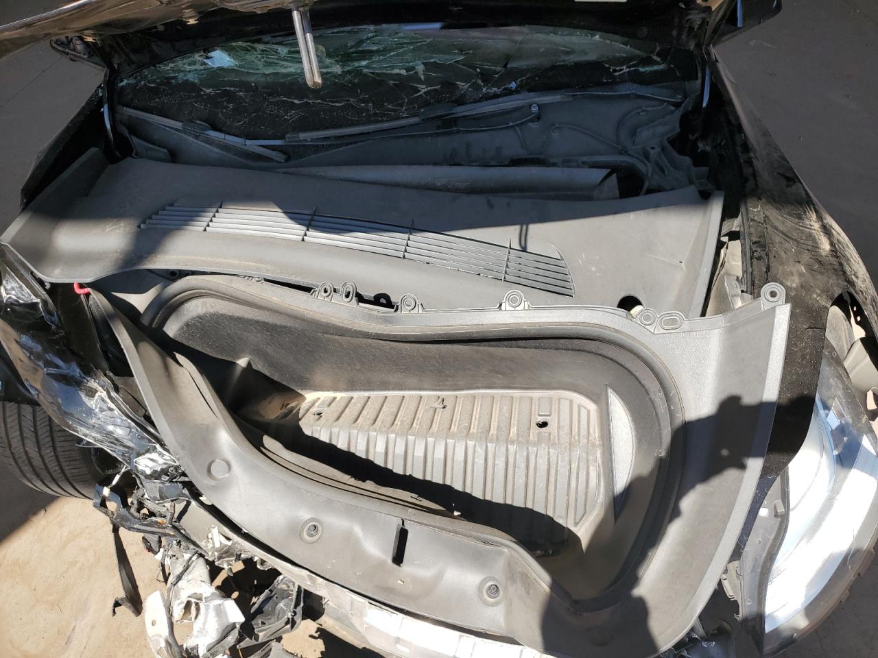 2023 Tesla Model Y VIN: 7SAYGDEE4PA114881 Lot: 80672285