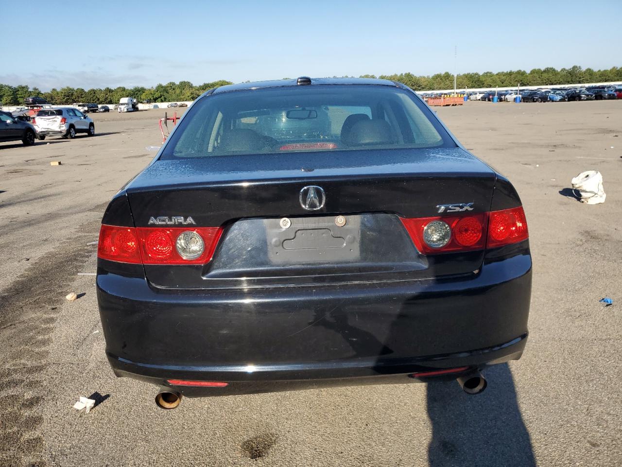 2008 Acura Tsx VIN: JH4CL96808C011742 Lot: 70028165