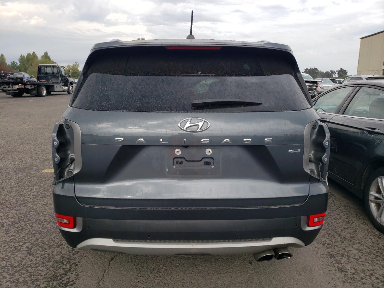 2020 Hyundai Palisade Sel VIN: KM8R3DHE7LU095087 Lot: 71005845