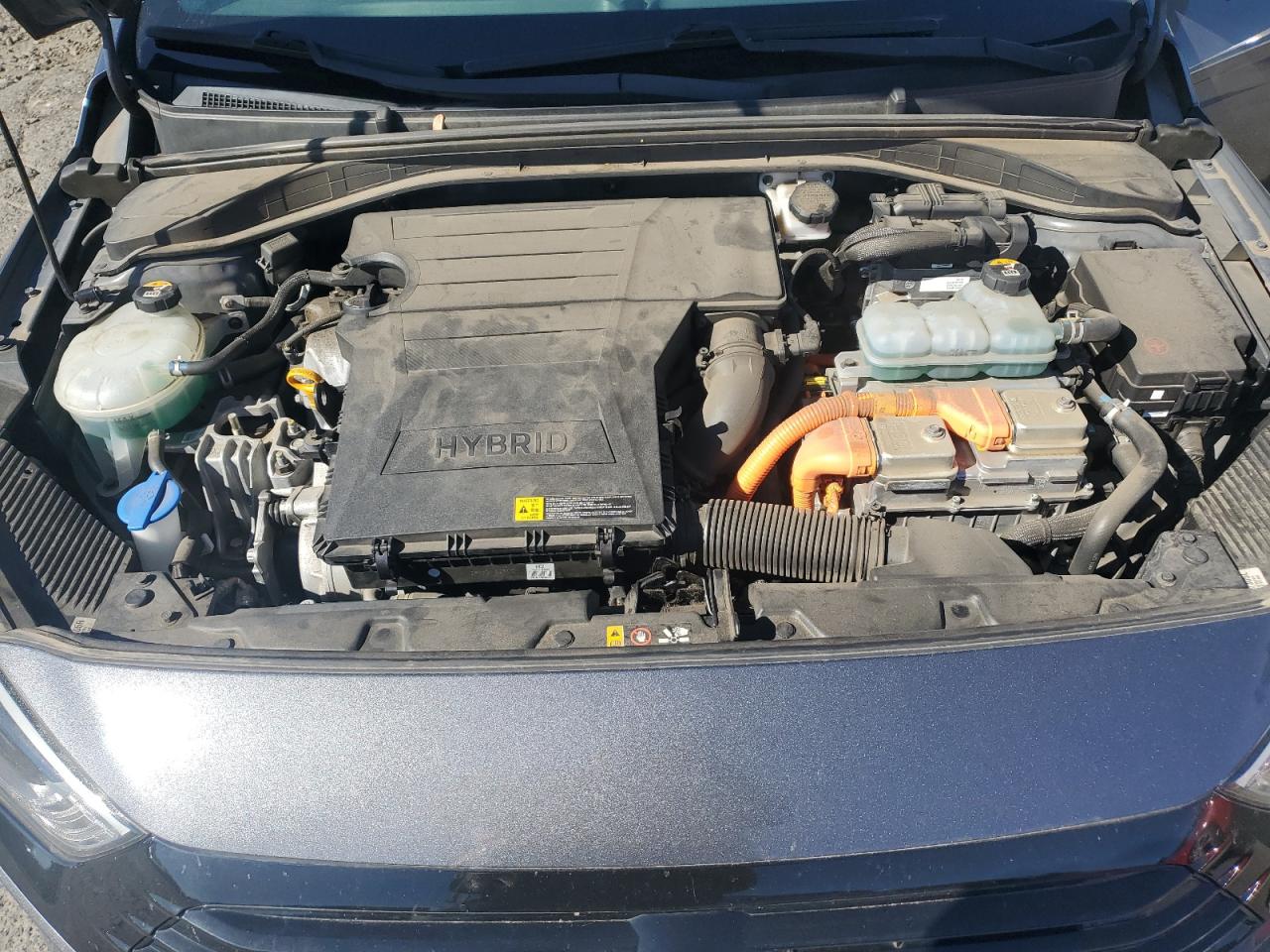 2019 Hyundai Ioniq Blue VIN: KMHC65LCXKU129708 Lot: 81239625