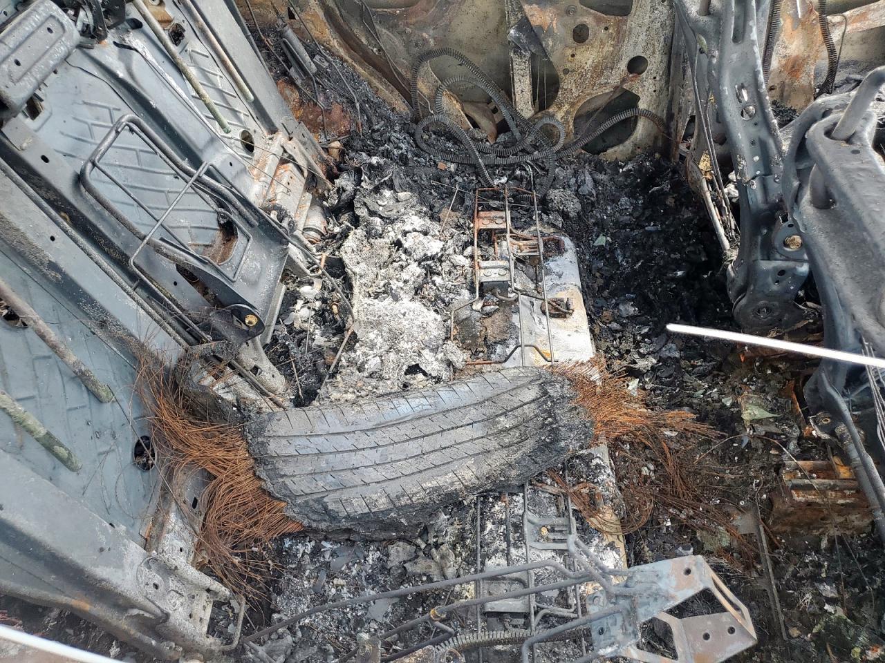 2013 Buick Encore VIN: KL4CJASB4DB150535 Lot: 81473465