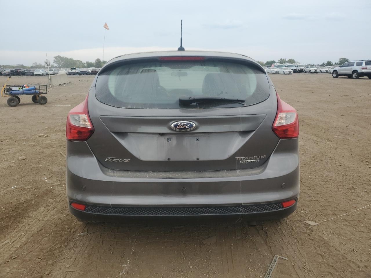 2013 Ford Focus Titanium VIN: 1FADP3N2XDL143007 Lot: 81206935