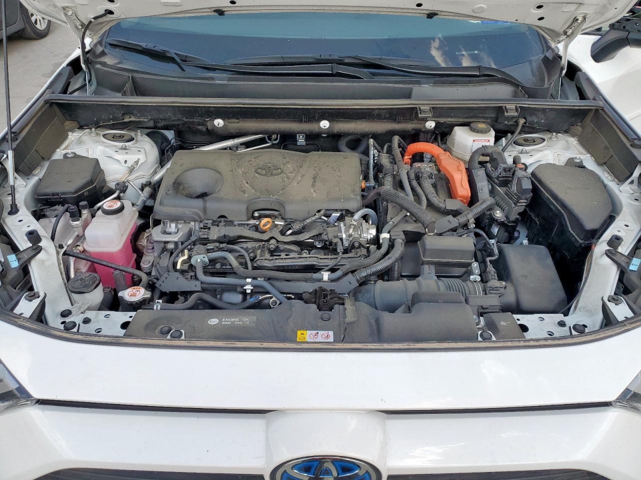 2022 Toyota Rav4 Xle VIN: 4T3RWRFVXNU052445 Lot: 81193685