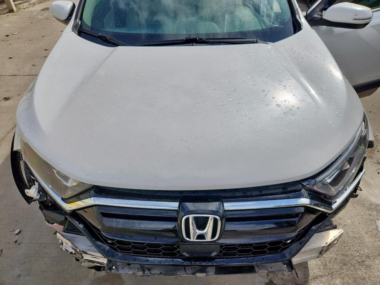 2020 Honda Cr-V Exl VIN: 5J6RW1H82LA013279 Lot: 82144515