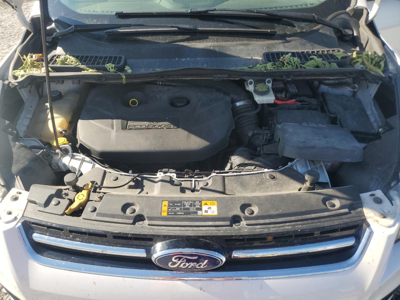 2013 Ford Escape Titanium VIN: 1FMCU0J91DUD76232 Lot: 81092715