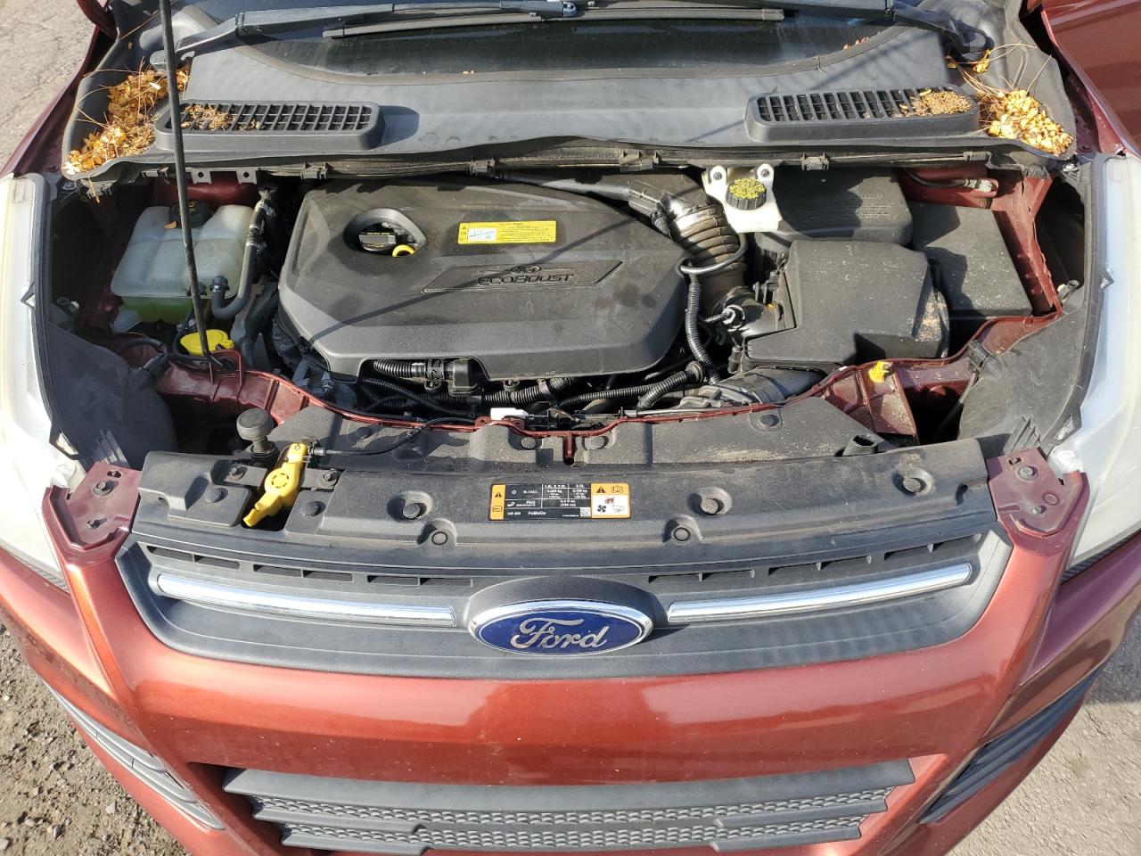 2014 Ford Escape Se VIN: 1FMCU0GX7EUB37842 Lot: 84648205