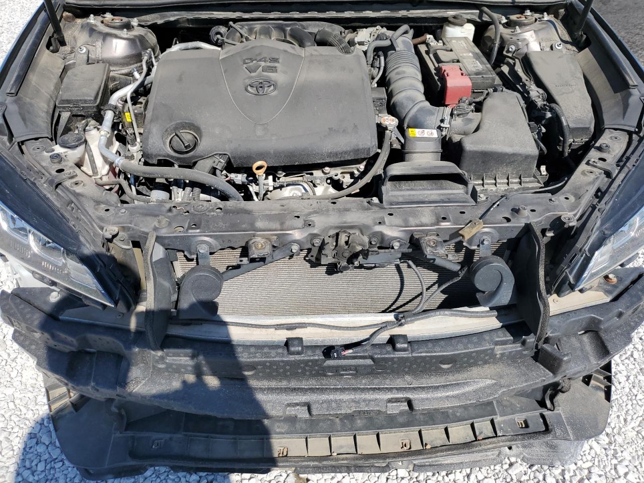 2019 Toyota Avalon Xle VIN: 4T1BZ1FB9KU029047 Lot: 80694645