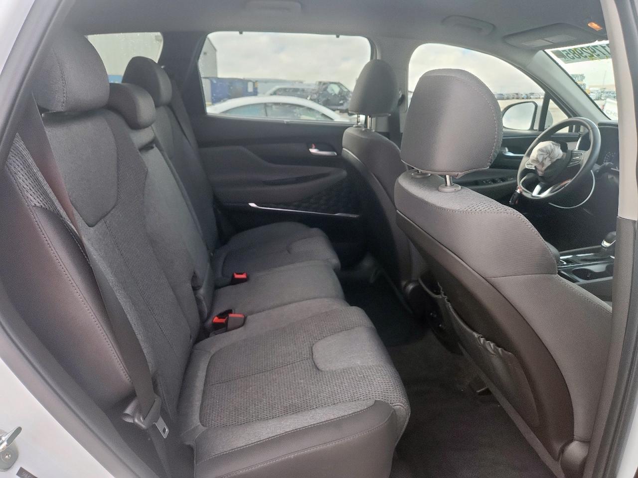 2020 Hyundai Santa Fe Sel VIN: 5NMS33AD9LH165262 Lot: 81792985