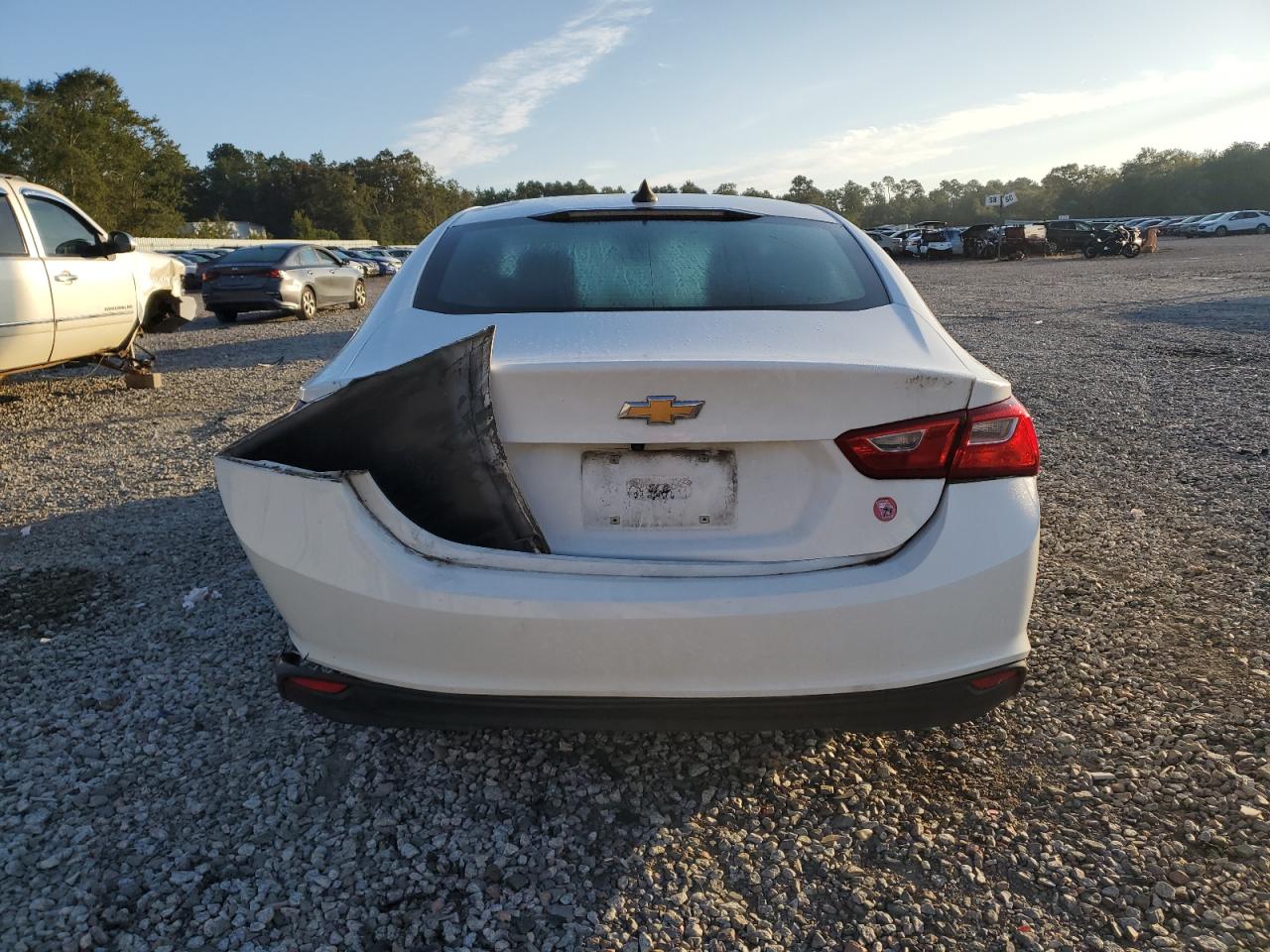 2019 Chevrolet Malibu Ls VIN: 1G1ZB5ST3KF184574 Lot: 81528185