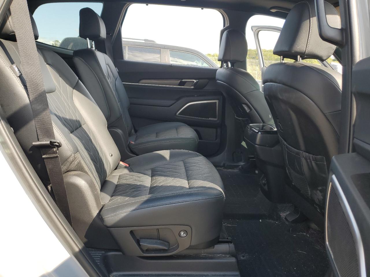 2024 Kia Telluride Ex VIN: 5XYP3DGC3RG494116 Lot: 71549095