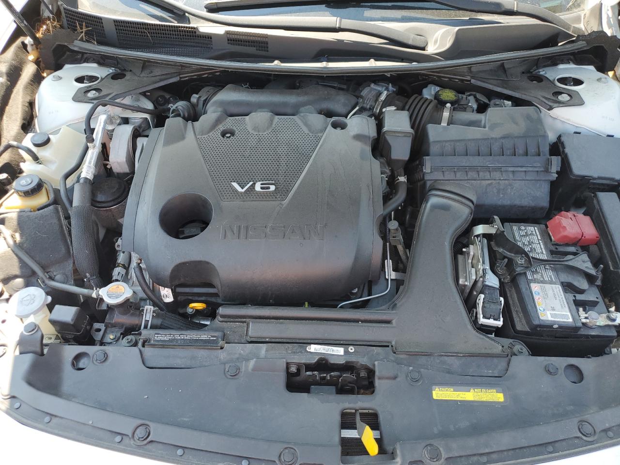 2021 Nissan Maxima Sr VIN: 1N4AA6EV0MC504633 Lot: 81033205