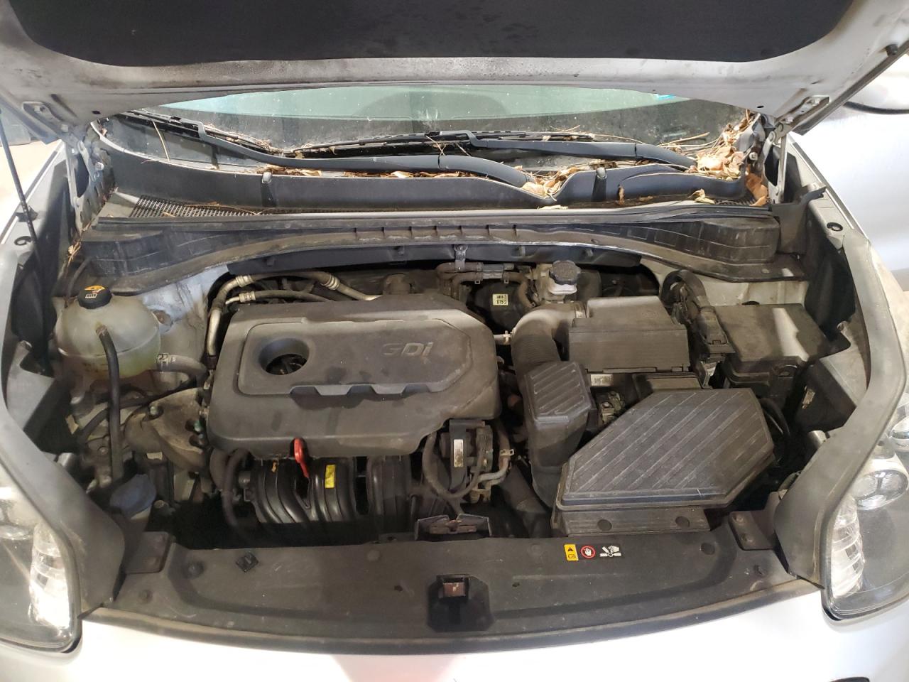 2018 Kia Sportage Lx VIN: KNDPM3AC8J7447441 Lot: 72024145