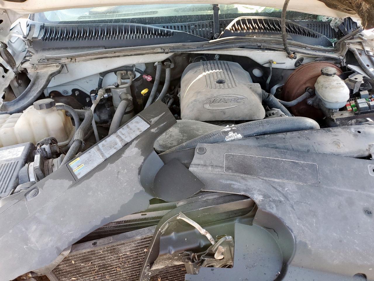 2006 Chevrolet Silverado C1500 VIN: 1GCEC14Z56Z295287 Lot: 81455555