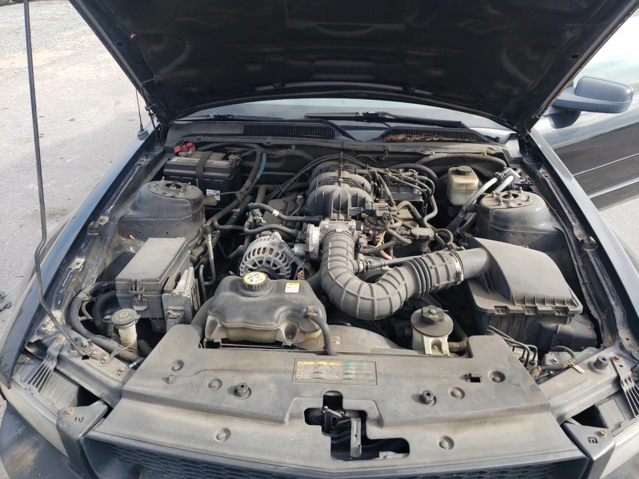 2008 Ford Mustang VIN: 1ZVHT80N185107252 Lot: 81266115