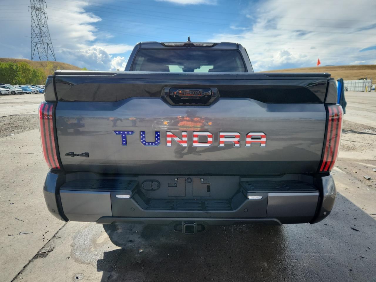 2024 Toyota Tundra Crewmax Platinum VIN: 5TFNC5DB3RX059635 Lot: 84455905