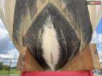 2023 ZODIAC BOAT   for sale at Copart FL - TAMPA SOUTH
