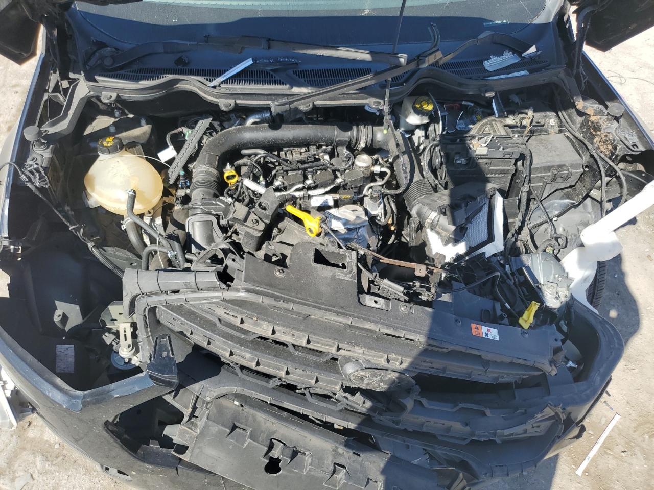 2019 Ford Ecosport Se VIN: MAJ3S2GE1KC251752 Lot: 81897945