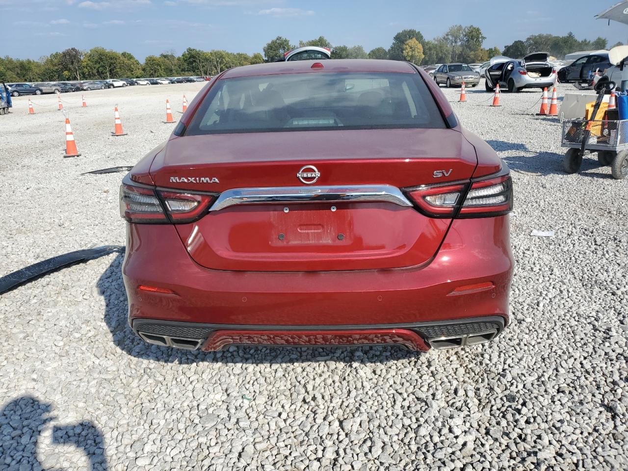 2023 Nissan Maxima Sv VIN: 1N4AA6CV7PC513899 Lot: 81230605