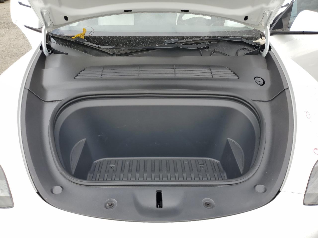 2023 Tesla Model Y VIN: 7SAYGDEF4PF662360 Lot: 81855055