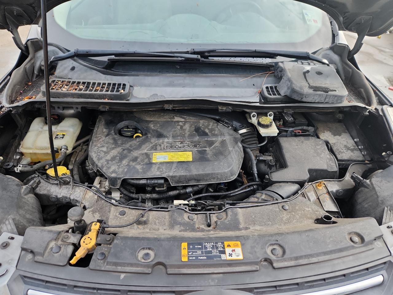 2013 Ford Escape Se VIN: 1FMCU0GX7DUC91241 Lot: 81793045