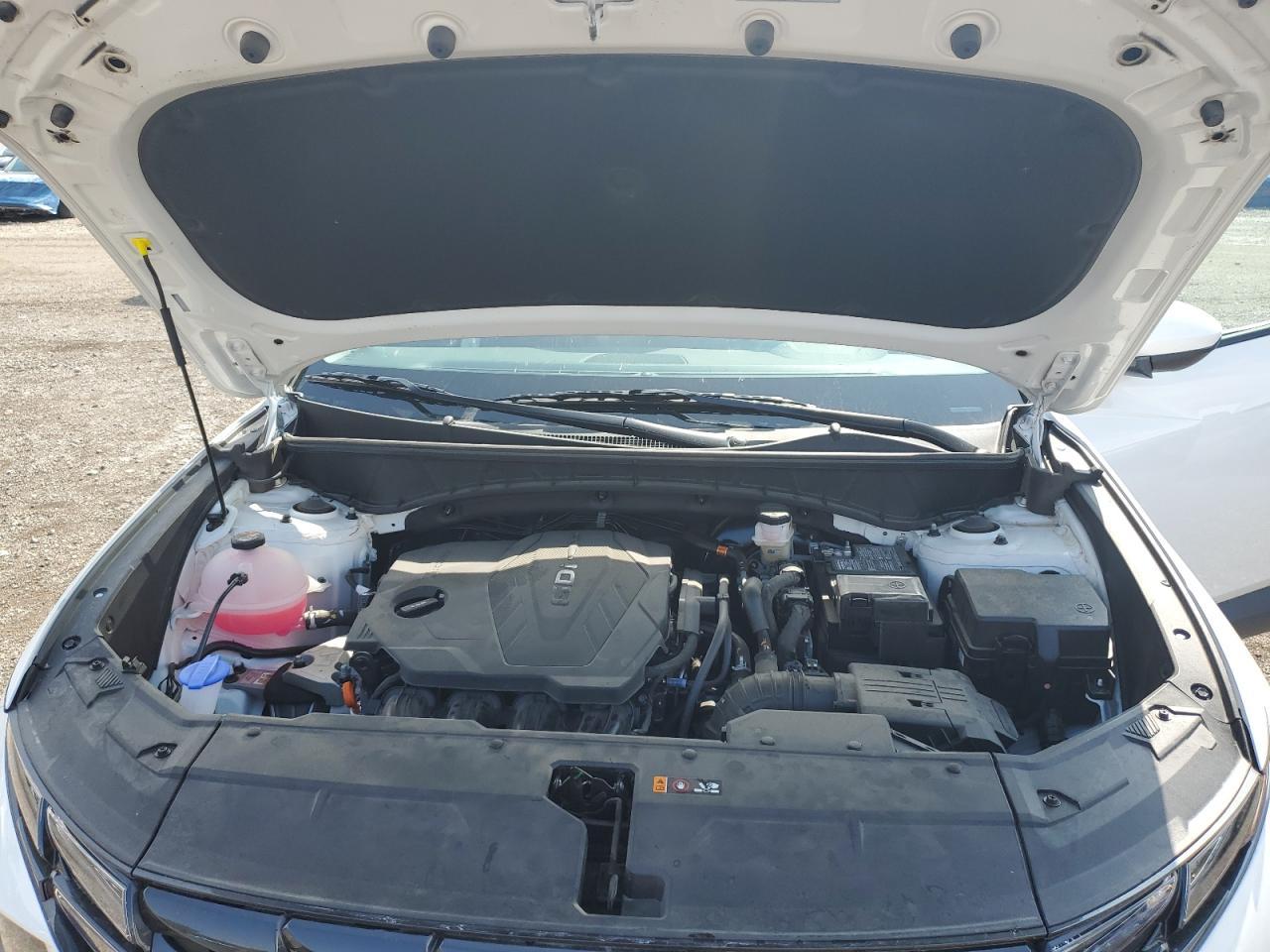 2024 Hyundai Tucson Sel VIN: 5NMJBCDE4RH401229 Lot: 81184435