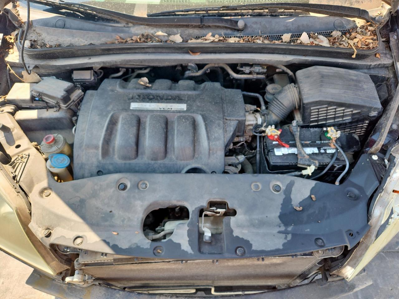 2005 Honda Odyssey Exl VIN: 5FNRL38705B094150 Lot: 80834715