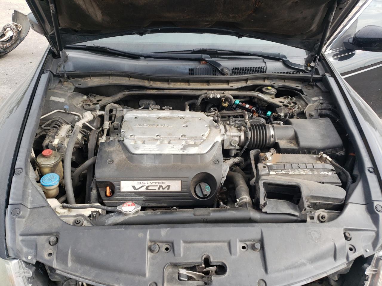 2009 Honda Accord Exl VIN: 1HGCP36899A030341 Lot: 81778865