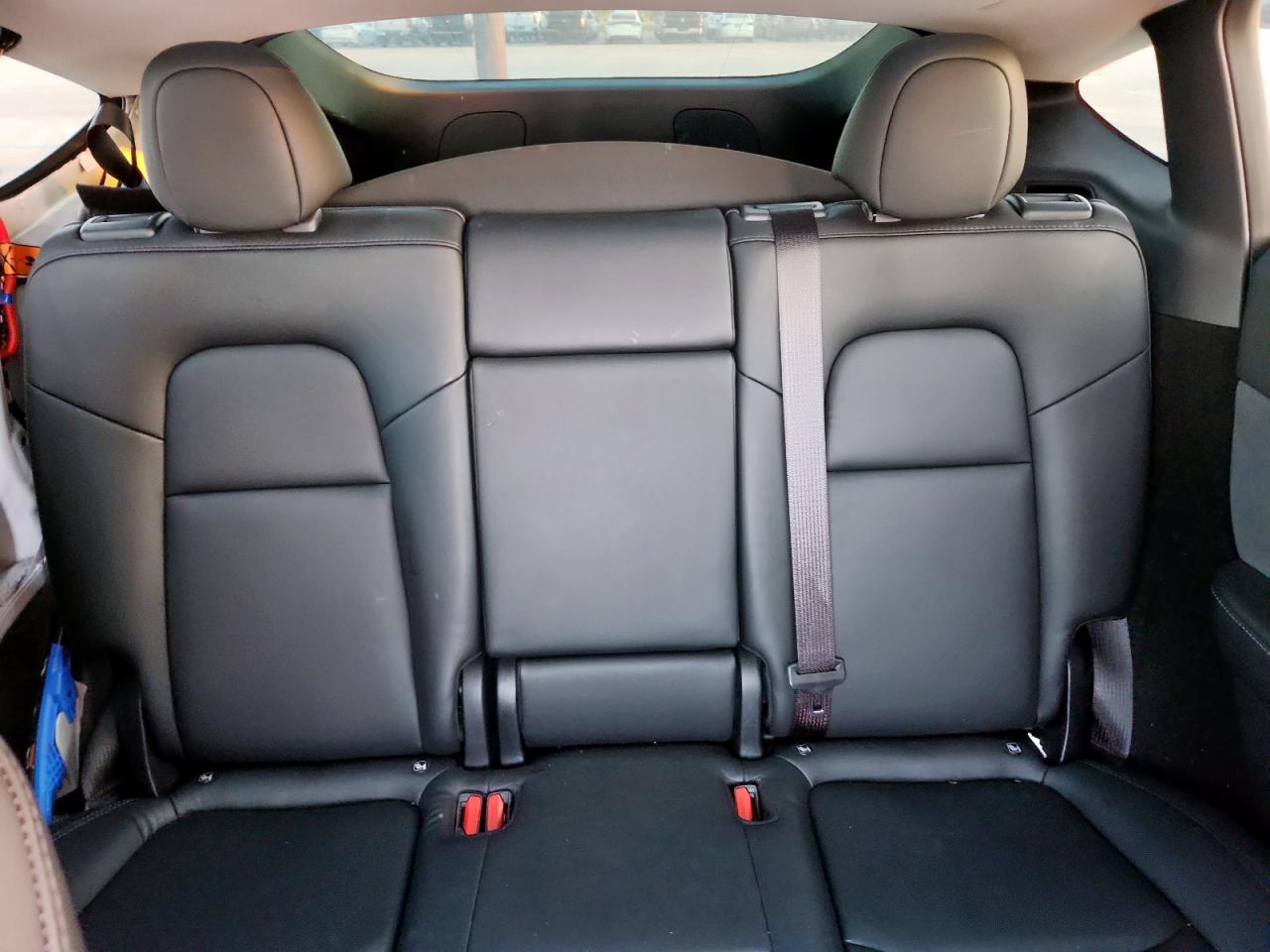 2023 Tesla Model Y VIN: 7SAYGDEE9PA093459 Lot: 81499905