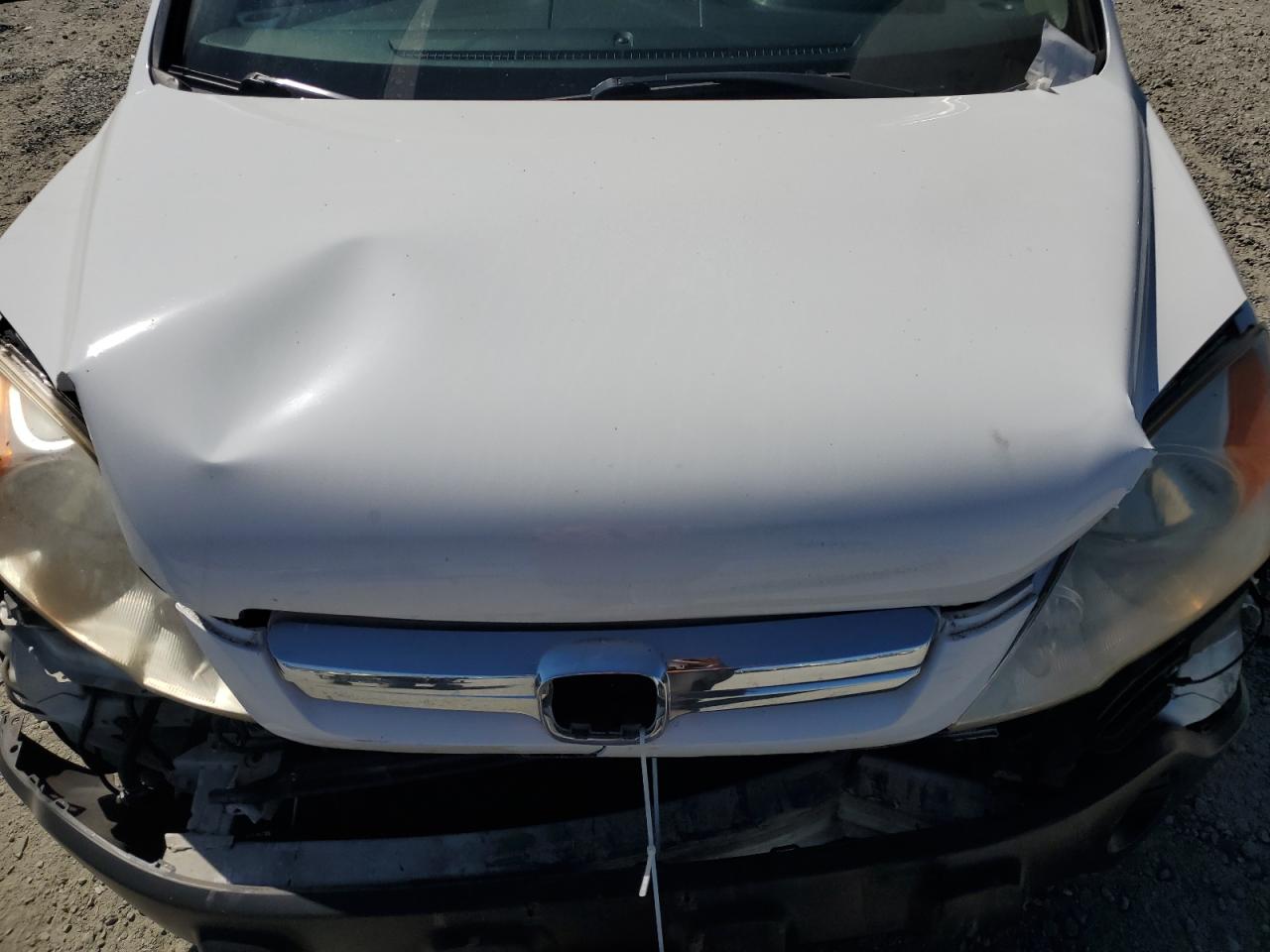 2007 Honda Cr-V Ex VIN: JHLRE48587C069336 Lot: 80894345