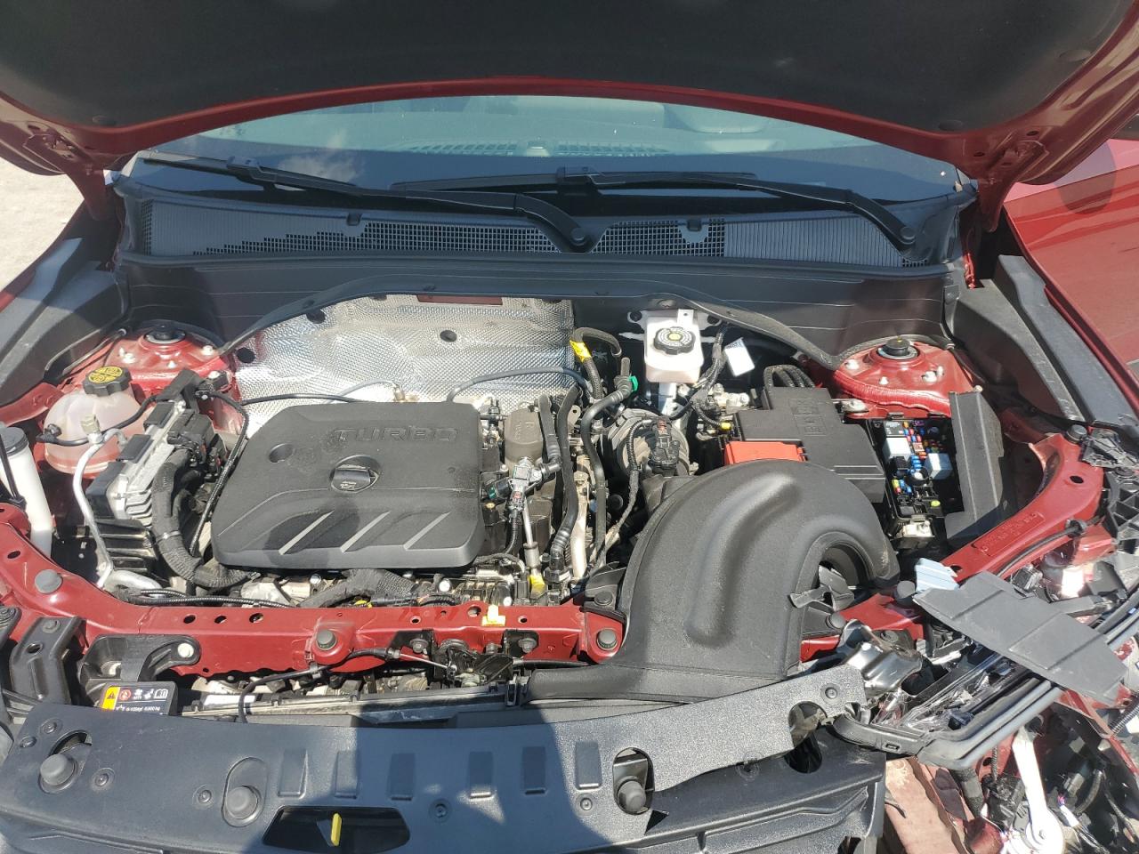 2024 Chevrolet Trailblazer Ls VIN: KL79MMSL5RB111247 Lot: 80355925